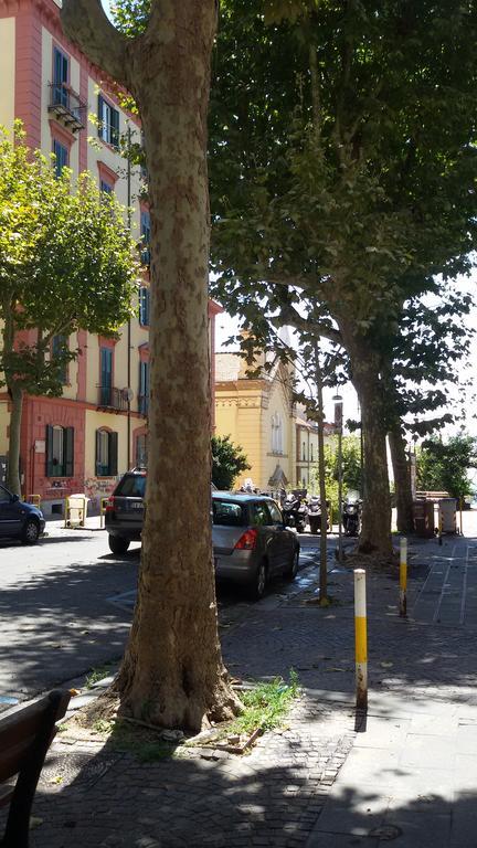 At Lettieri 4*